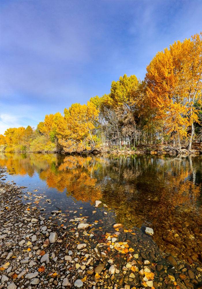 Lake with trees changing colors around